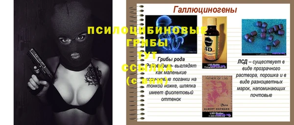 прущие грибы Алексин