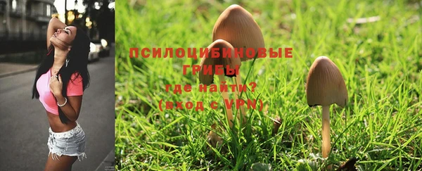 MDMA Premium VHQ Алзамай