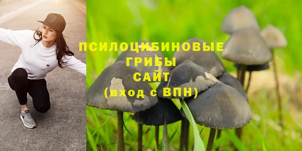 MDMA Premium VHQ Алзамай