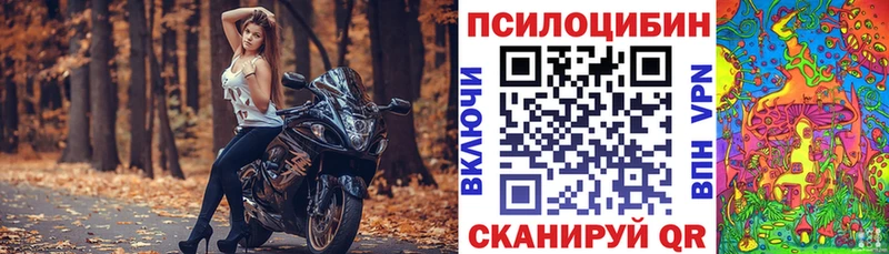 Галлюциногенные грибы GOLDEN TEACHER  Ачхой-Мартан 